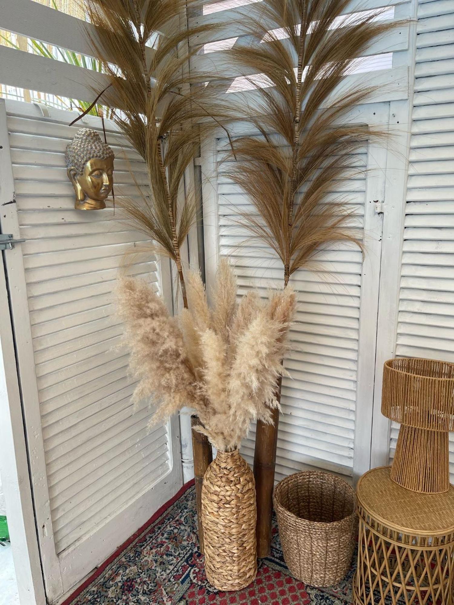 Villa Tropical フランカヴィッラ・アル・マーレ エクステリア 写真
